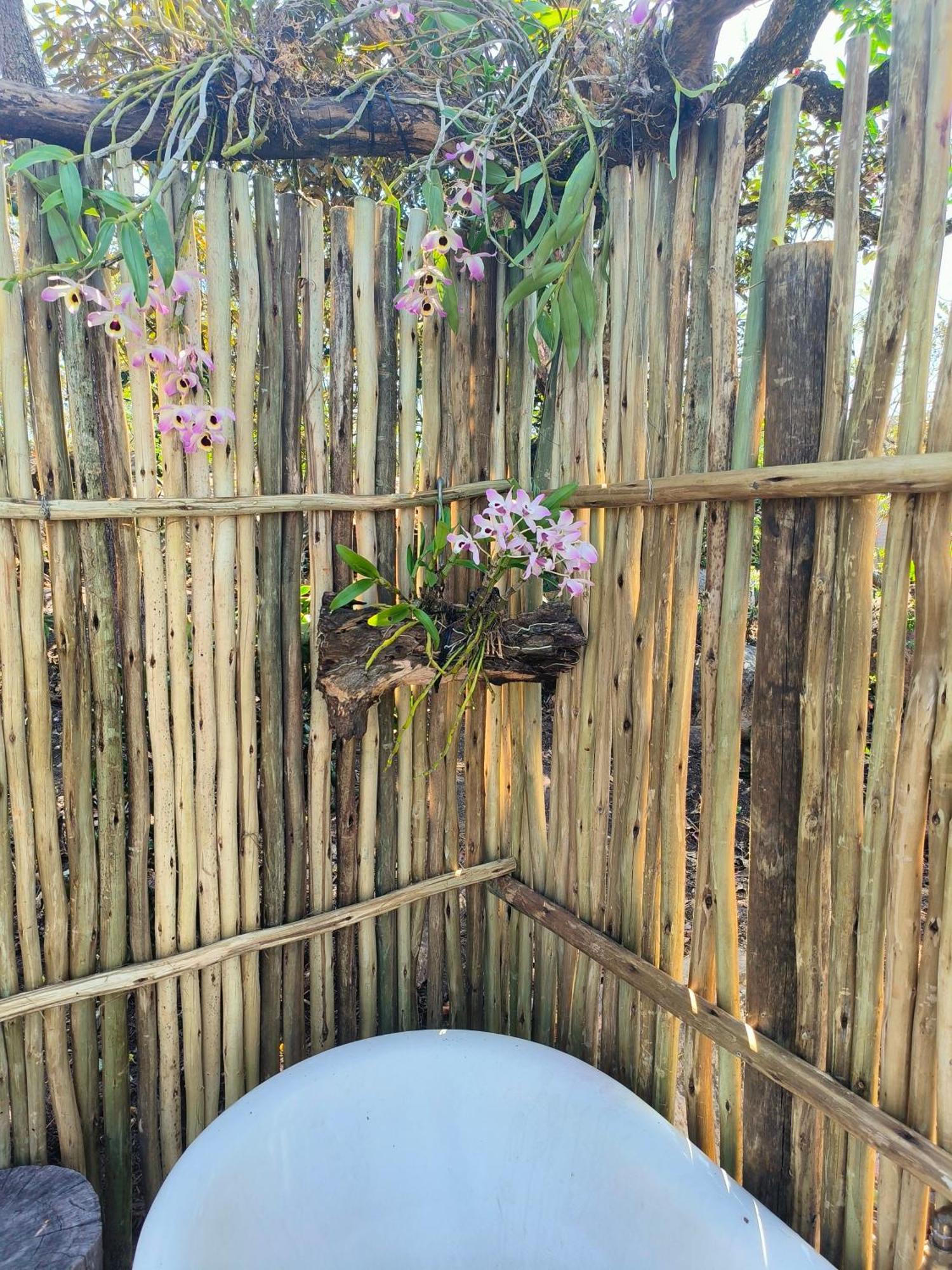 Eloff Guest House And Gallery Witrivier Buitenkant foto
